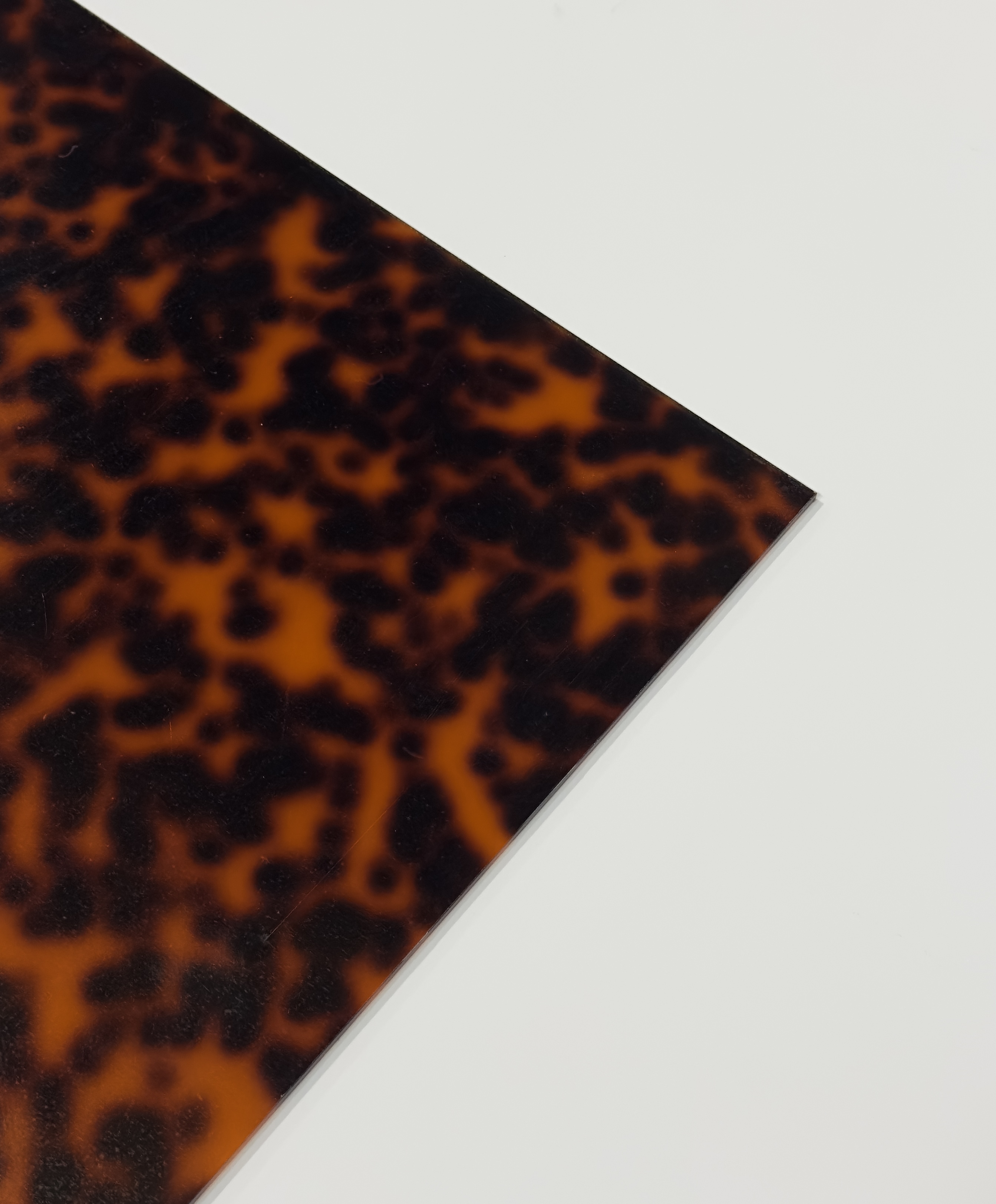 Present Tortoise Shell Limited Edition - Tortoise Shell - Printed Panels